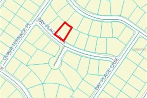 Купить земельный участок в Оклаваха, Флорида № 2164575 - фото 2
