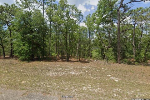 Terrain à Dunnellon, Floride № 2205386