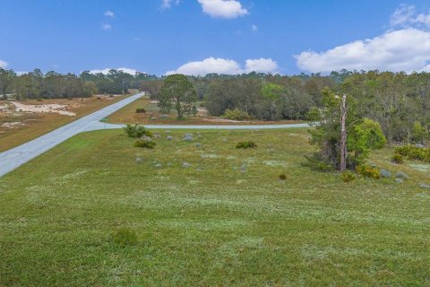 Terrain à vendre à Poinciana, Floride № 1680243 - photo 5