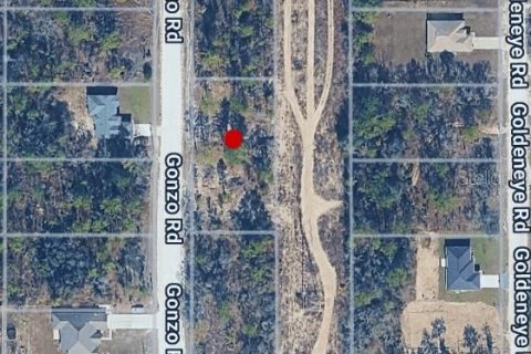 Land in Weeki Wachee, Florida № 2377873