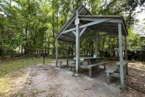 Land in Fort White, Florida № 2123142 - photo 6