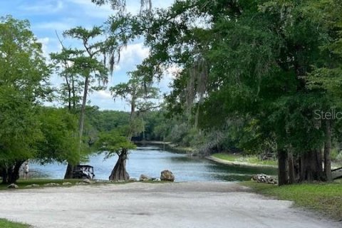 Land in Fort White, Florida № 2123142 - photo 12