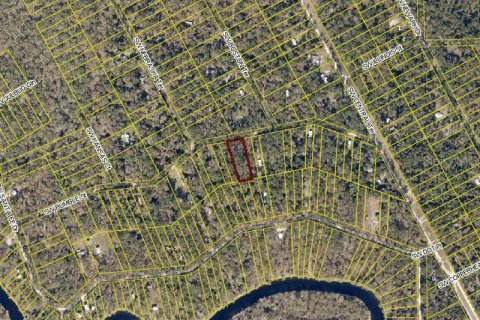 Land in Fort White, Florida № 2123142
