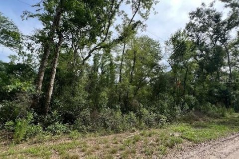 Land in Fort White, Florida № 2123142 - photo 3