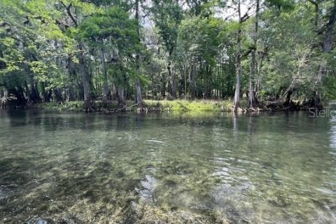 Land in Fort White, Florida № 2123142 - photo 10