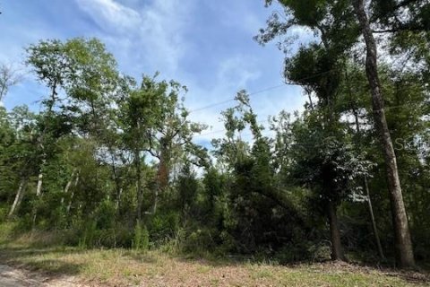 Land in Fort White, Florida № 2123142 - photo 2