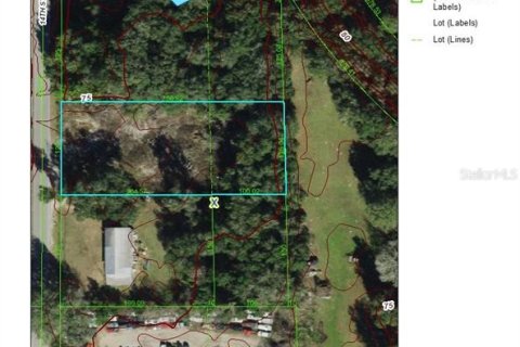 Land in Dade City, Florida № 1802409 - photo 3