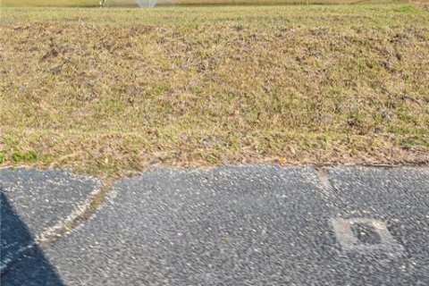 Immobilier commercial à vendre à Palm Coast, Floride: 1858.05 m2 № 1533901 - photo 19