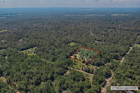 Land in Bronson, Florida № 1852883 - photo 2