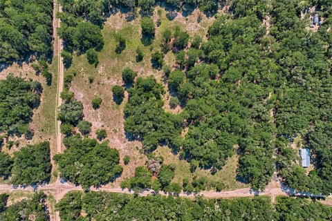 Land in Bronson, Florida № 1852883 - photo 4