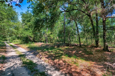 Land in Bronson, Florida № 1852883 - photo 7