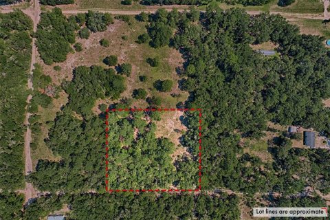 Land in Bronson, Florida № 1852883 - photo 1