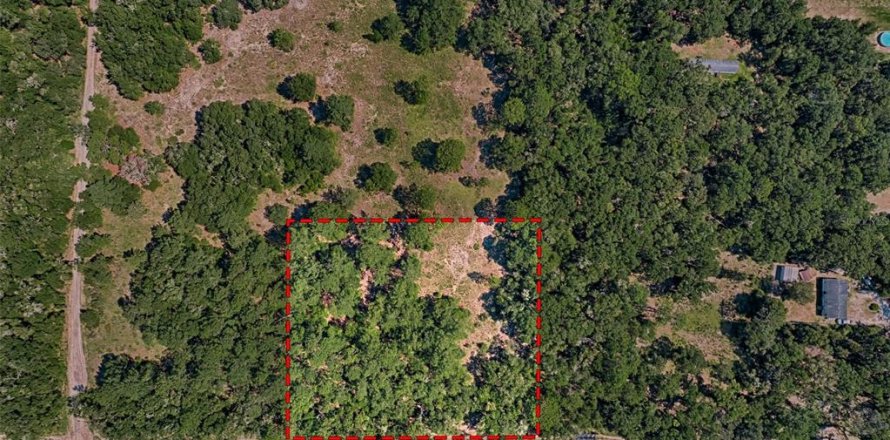 Land in Bronson, Florida № 1852883