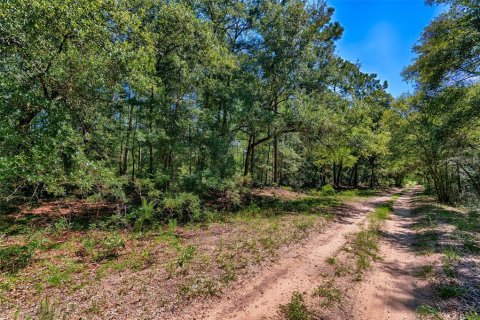 Land in Bronson, Florida № 1852883 - photo 9