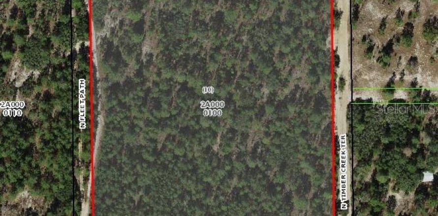Terreno en Dunnellon, Florida № 1918779