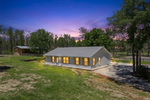 Villa ou maison à Eustis, Floride 3 chambres, 148.64 m2 № 2098962