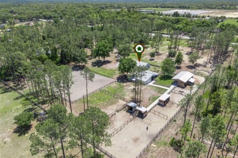 Купить виллу или дом в Юстис, Флорида 7 комнат, 185.43м2, № 2098962 - фото 4
