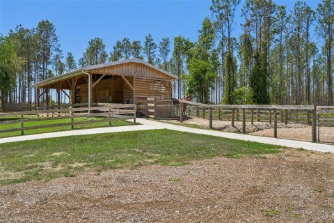 Купить виллу или дом в Юстис, Флорида 7 комнат, 185.43м2, № 2098962 - фото 19