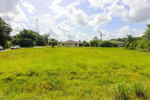 Land in North Port, Florida № 213373 - photo 3