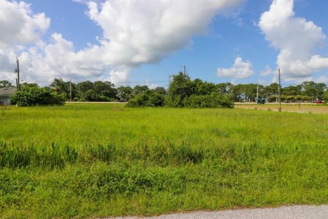 Land in North Port, Florida № 213373 - photo 6