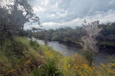 Land in Arcadia, Florida № 2342284
