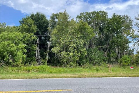 Land in Kissimmee, Florida № 1243982 - photo 1