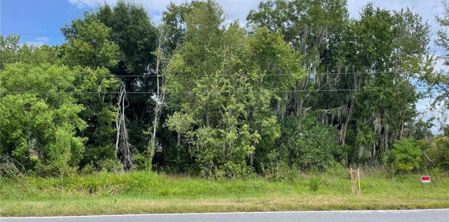 Land in Kissimmee, Florida № 1243982