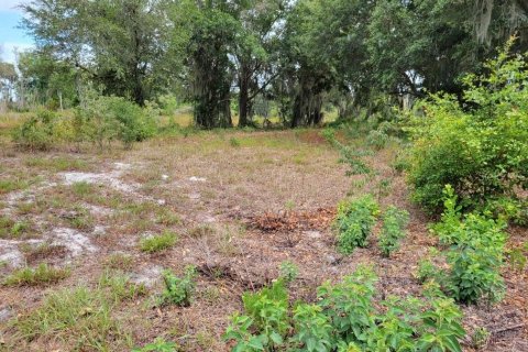 Land in Kissimmee, Florida № 1243982 - photo 4