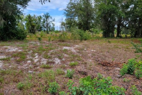 Land in Kissimmee, Florida № 1243982 - photo 13