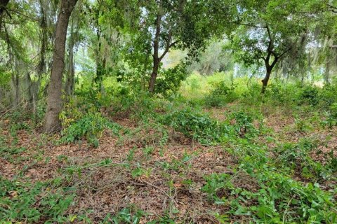 Land in Kissimmee, Florida № 1243982 - photo 9