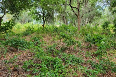 Land in Kissimmee, Florida № 1243982 - photo 7