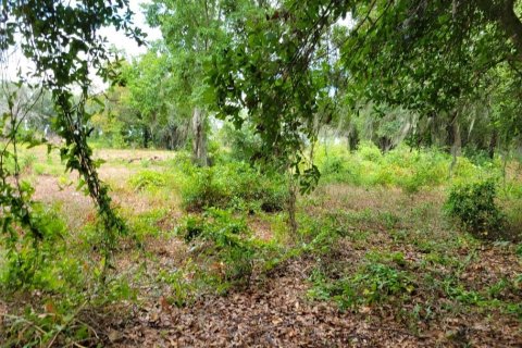 Land in Kissimmee, Florida № 1243982 - photo 12
