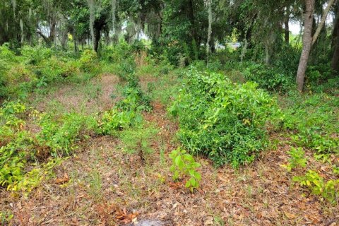 Land in Kissimmee, Florida № 1243982 - photo 5