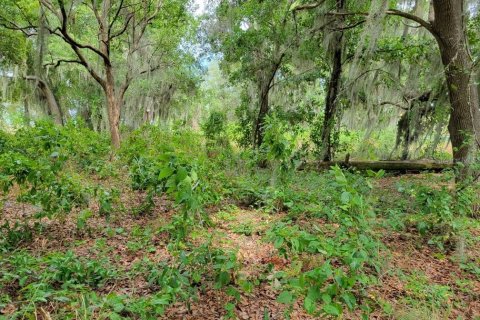 Land in Kissimmee, Florida № 1243982 - photo 6