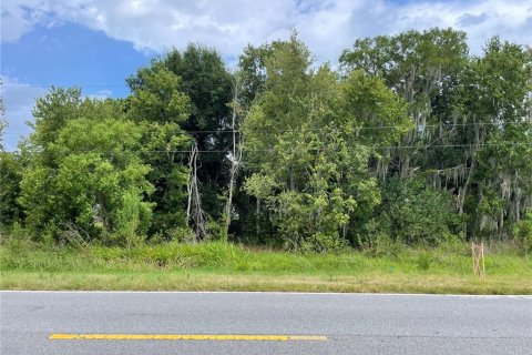 Land in Kissimmee, Florida № 1243982 - photo 2