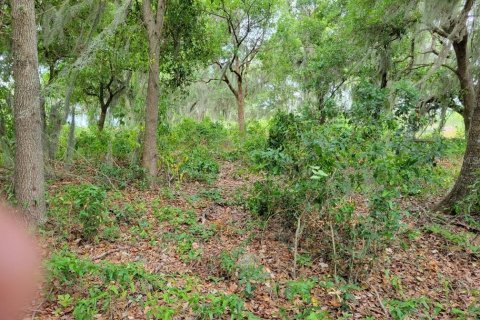 Land in Kissimmee, Florida № 1243982 - photo 11