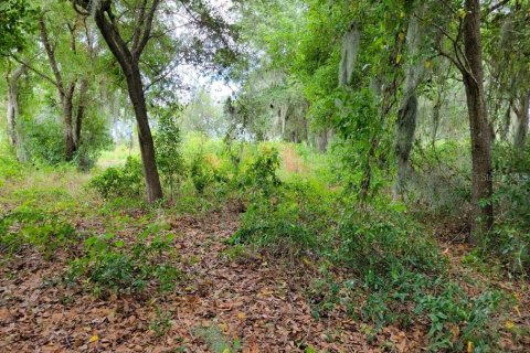 Land in Kissimmee, Florida № 1243982 - photo 8