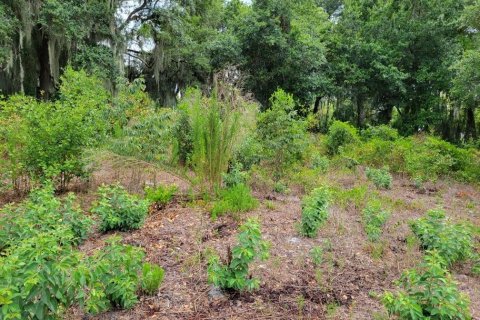 Land in Kissimmee, Florida № 1243982 - photo 3