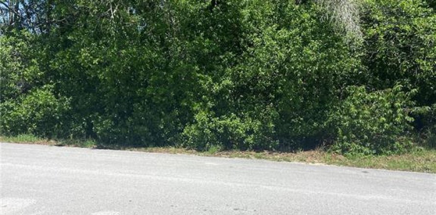Land in Spring Hill, Florida № 1741099