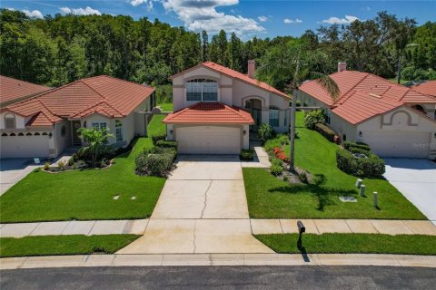 House in Tarpon Springs, Florida 2 bedrooms, 227.52 sq.m. № 1848040 - photo 1