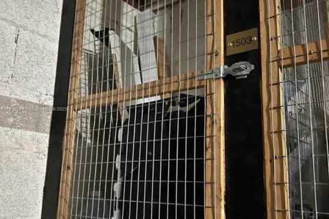 Copropriété à louer à Bal Harbour, Floride: 1 chambre, 94.3 m2 № 1968321 - photo 21