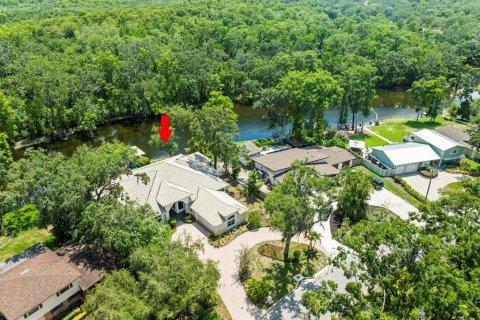 Casa en venta en Temple Terrace, Florida, 4 dormitorios, 339.93 m2 № 1784772 - foto 2