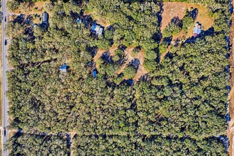 Land in Bell, Florida № 1558929 - photo 6