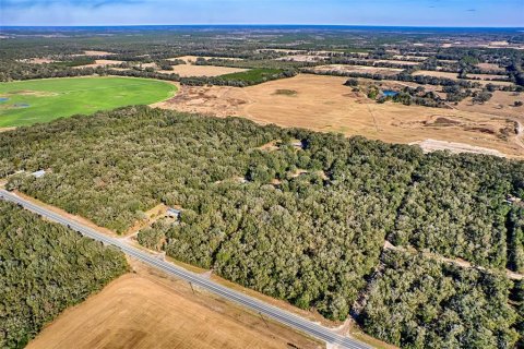 Land in Bell, Florida № 1558929 - photo 17