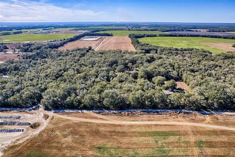 Land in Bell, Florida № 1558929 - photo 10