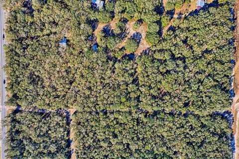 Land in Bell, Florida № 1558929 - photo 4