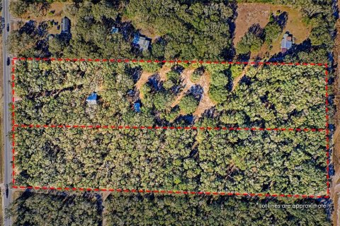 Land in Bell, Florida № 1558929 - photo 5