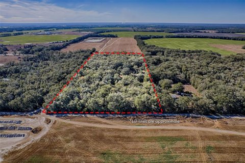 Land in Bell, Florida № 1558929 - photo 8