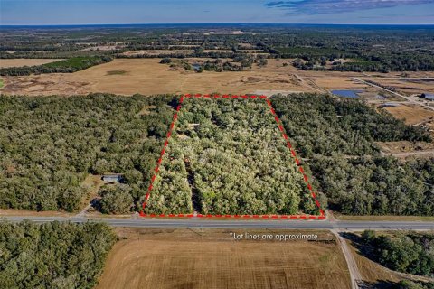 Land in Bell, Florida № 1558929 - photo 2