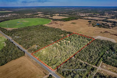 Land in Bell, Florida № 1558929 - photo 1